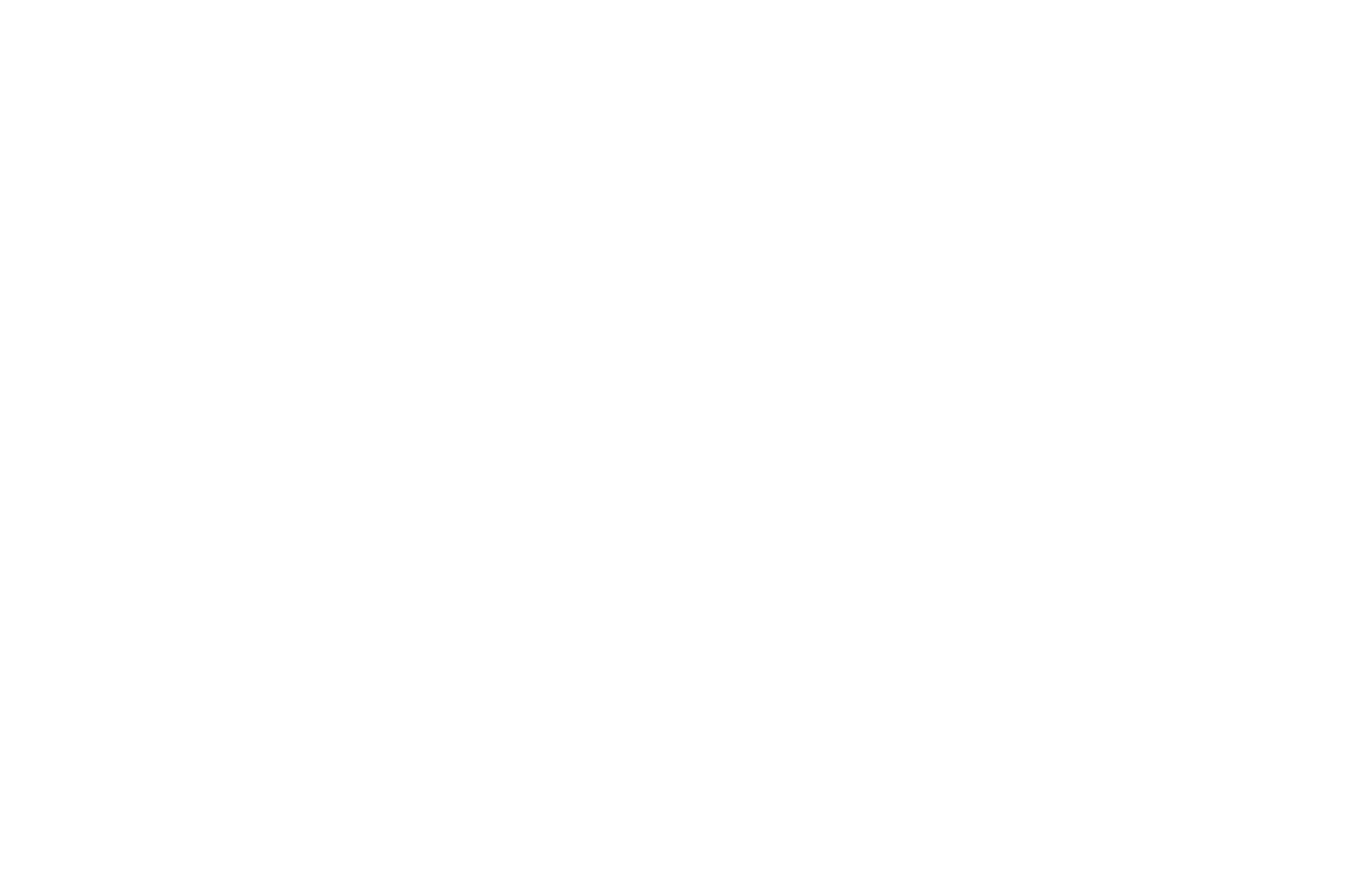 New Waste Solutions
